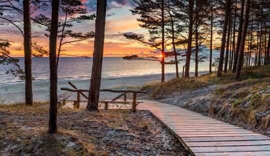 Get Cannabis in Coimbra